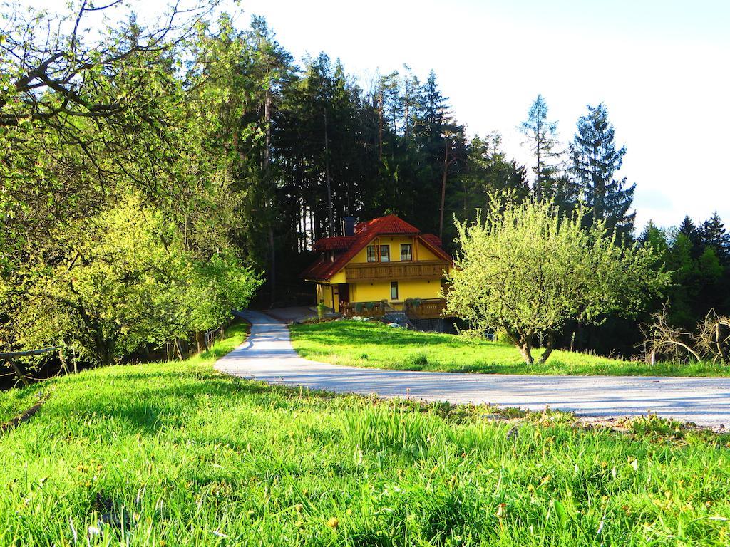 Country House Apat Sostanj Exterior photo